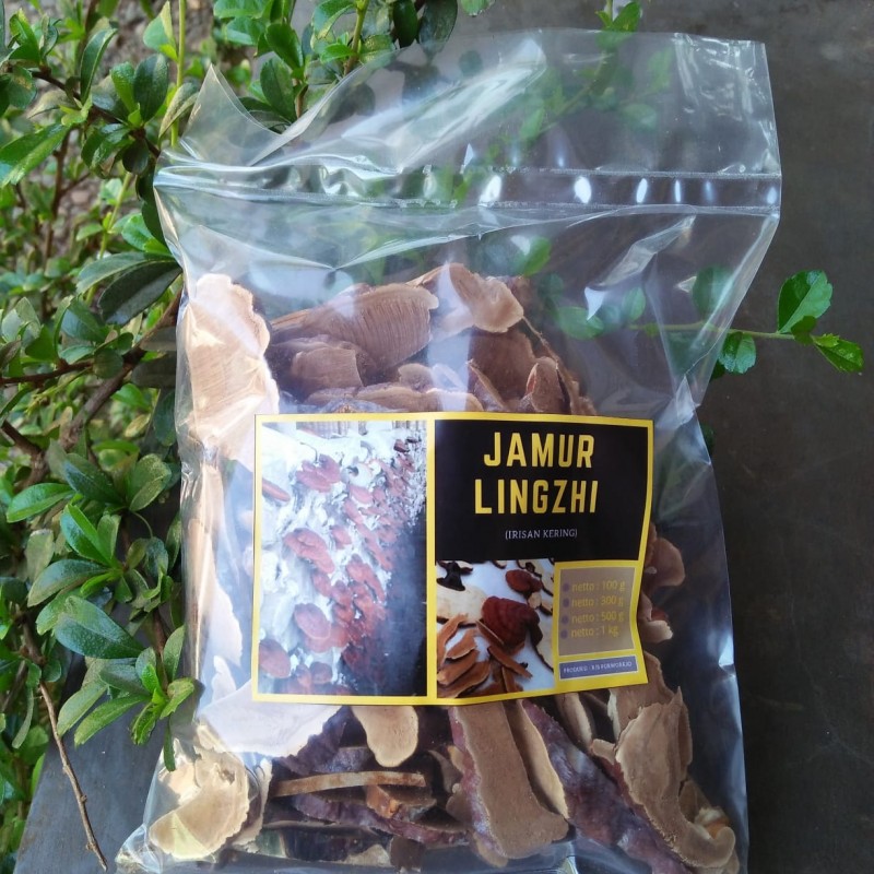Jamur Lingzhi 100gr