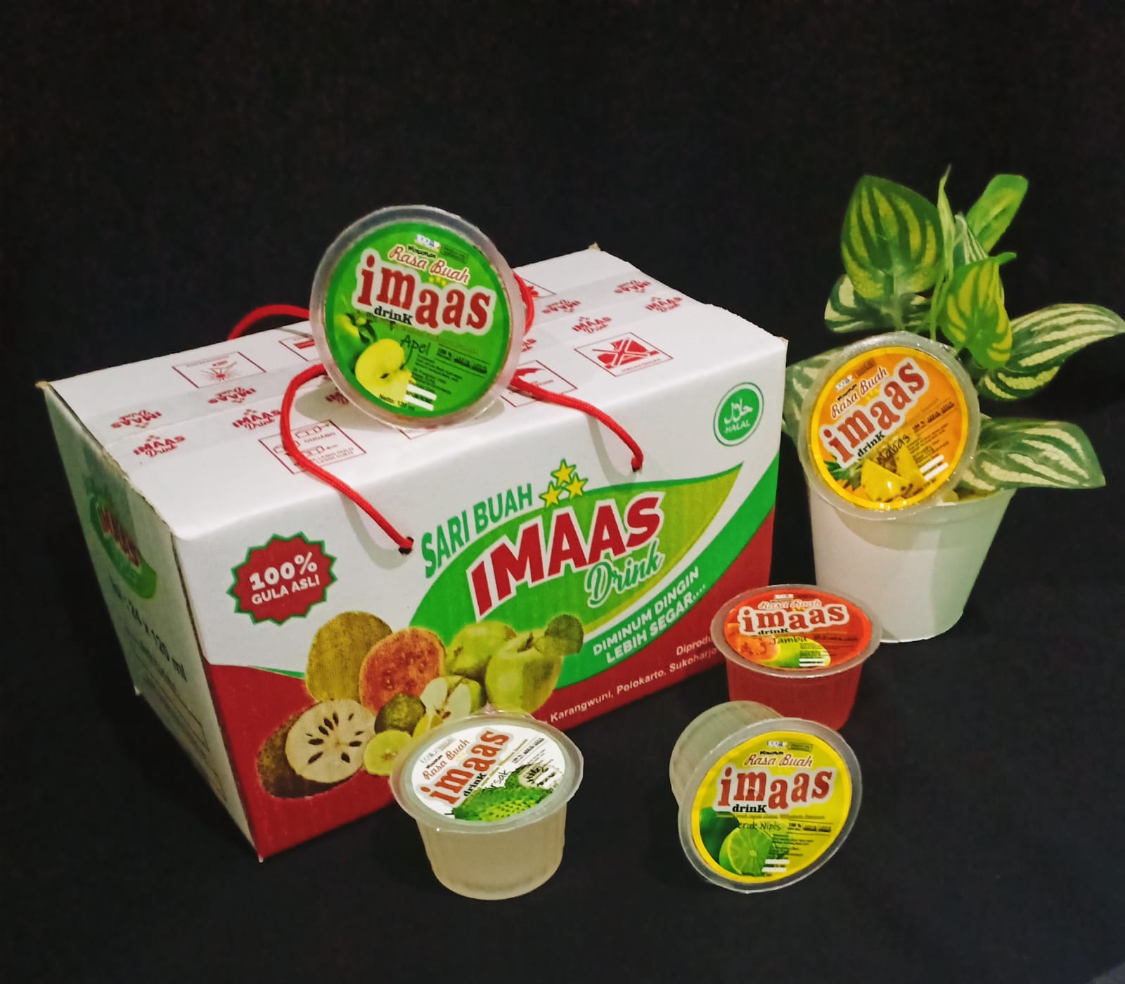 Minuman Rasa Buah Imaas Drink (24 x 120 ml)