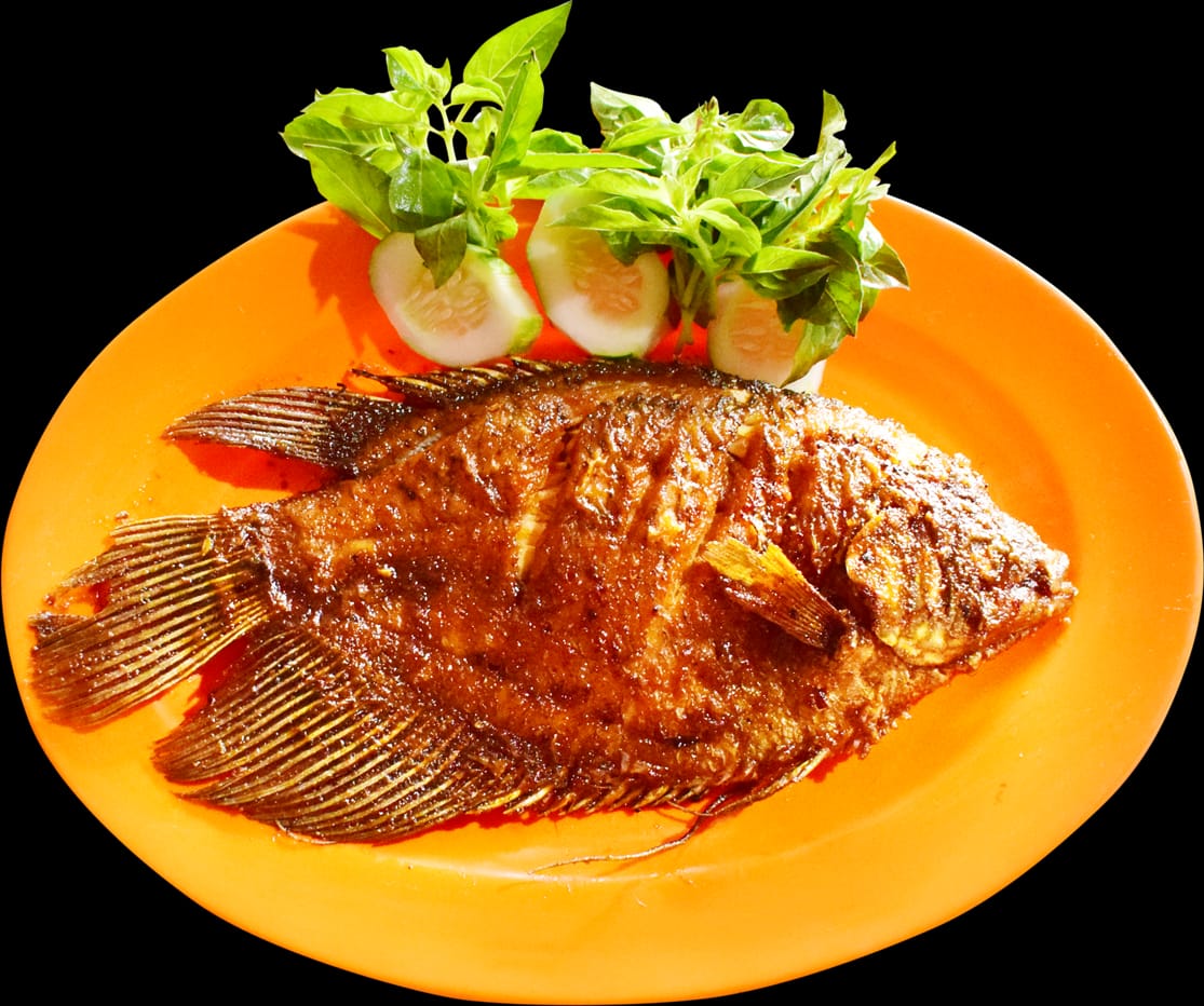 Ikan gurame goreng atau bakar