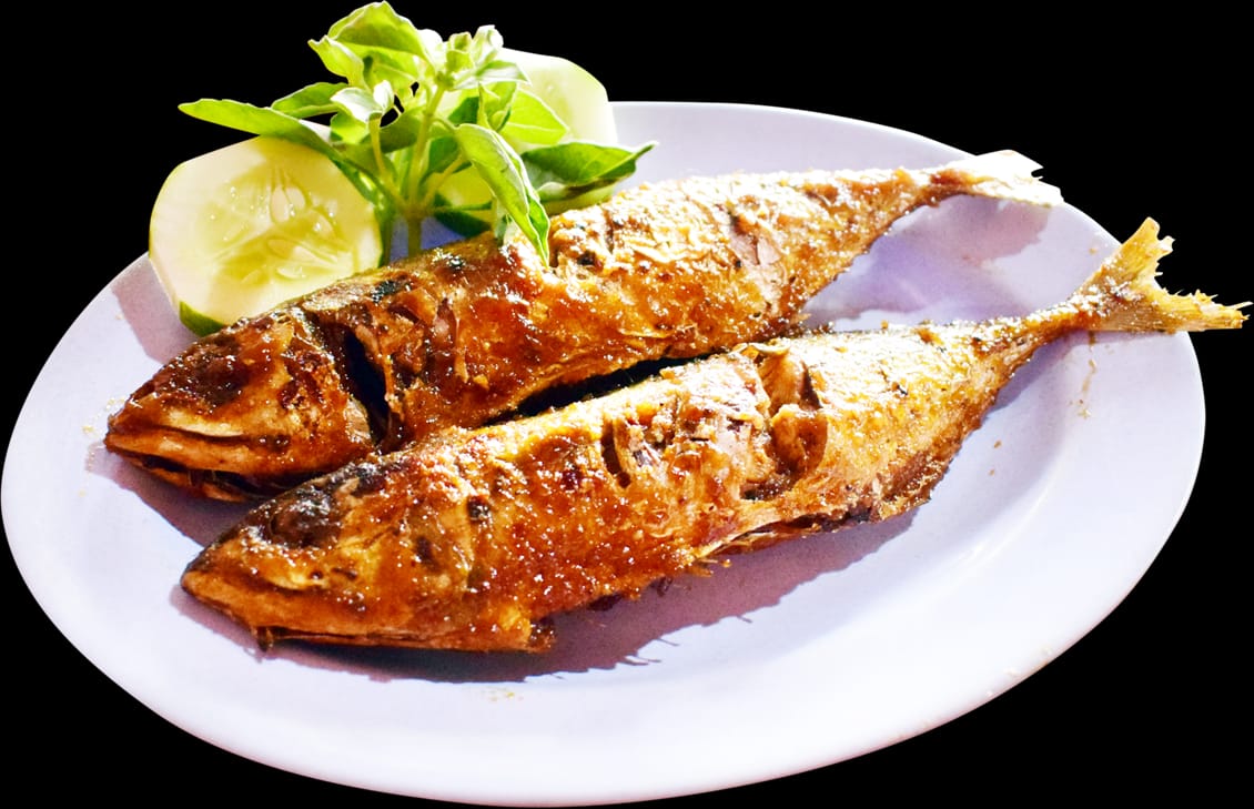 Ikan gembung bakar atau goreng