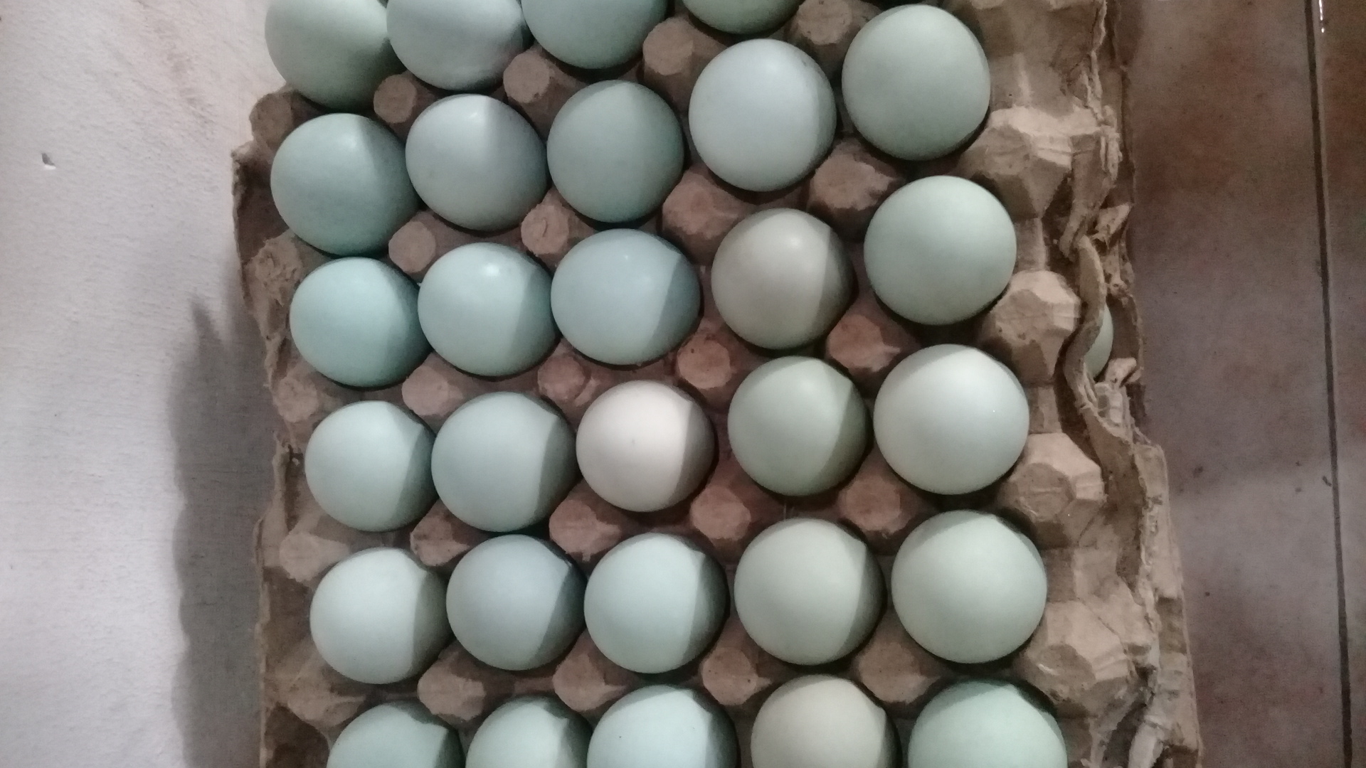 Telur asin barokah